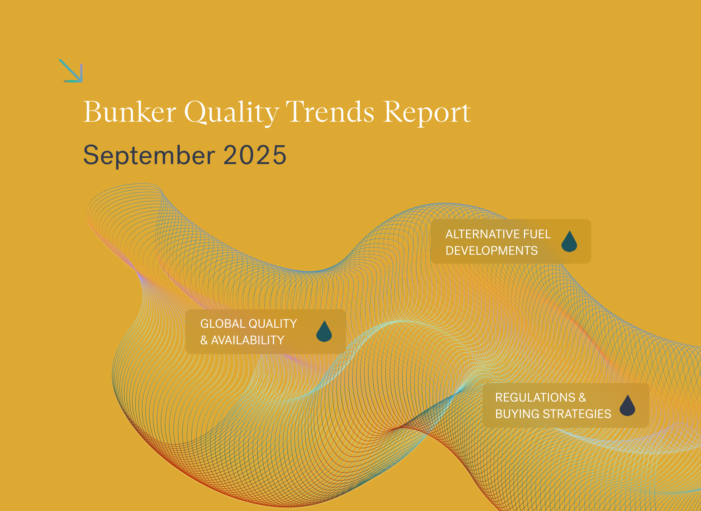 Feature Image Bunker Quality JUL 25